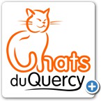 Chats du Quercy - Refuge chats